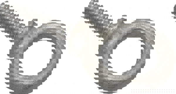 Fixed Lifting Eye Bolt: With Shoulder, 460 lb Capacity, 1/4-20 Thread, Grade 304 Stainless Steel